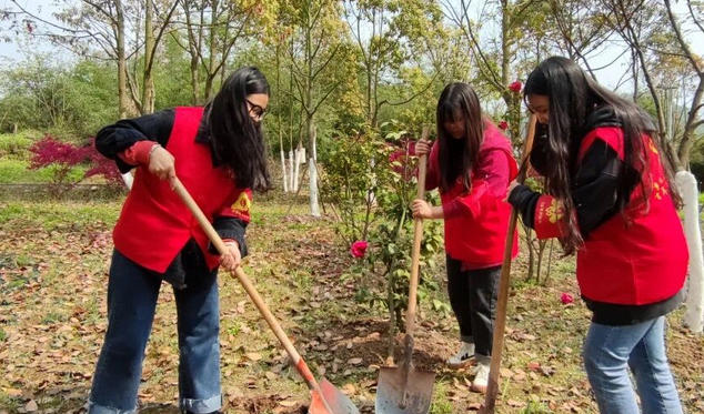 社工证考试科目中级-社工证中级科目