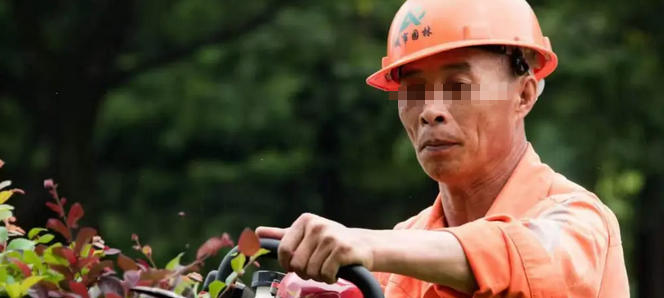 肇 庆环评工程师每年会检查什么