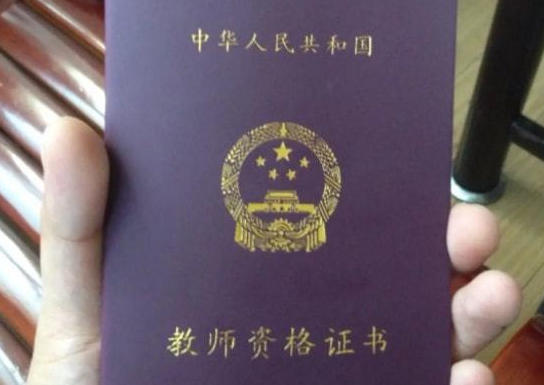 初 中教资电子版资料怎么找