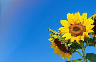 江 西银行从业资格证考试如何高分通过怎么备考