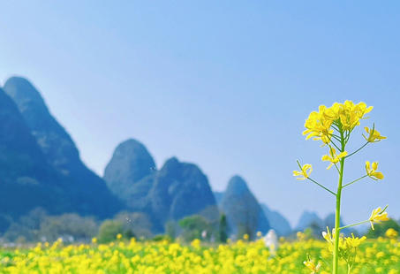 衢 州二级心理咨询师在哪里报名,有哪些培训班