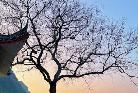 武 汉一级心理咨询师培训机构排名及费用