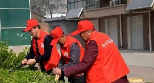 社 工证电子证书查不到怎么办