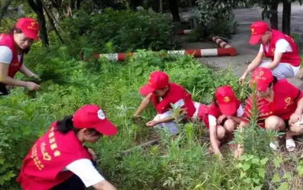 2 024社工证报名