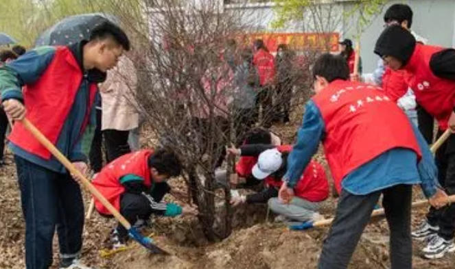 社 工证书邮寄怎么查询